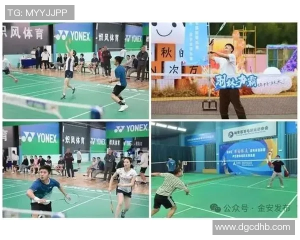 羽林激战：亚洲羽毛球公开赛热血征程