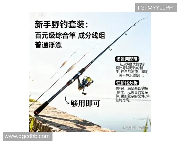 渔具选择与使用技巧全解析 提升钓鱼体验的关键要素