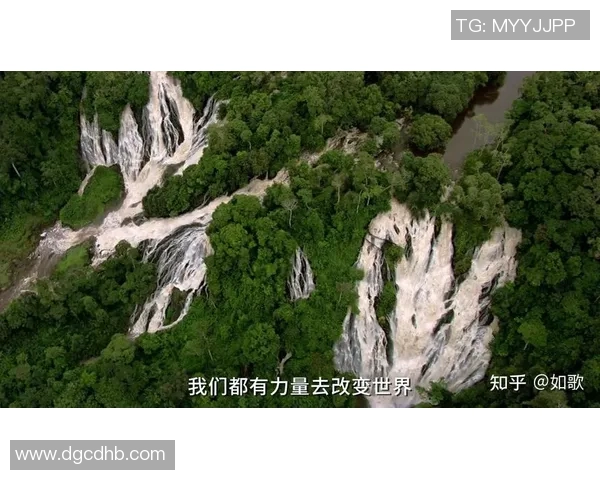 《探索世界纪录的极限：超越人类能力与自然界奥秘的非凡成就》